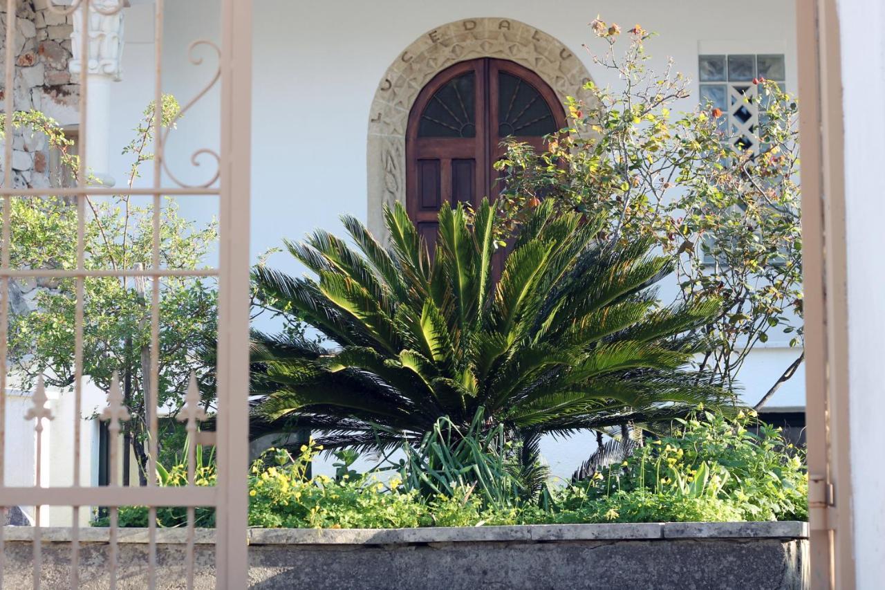 Casa Vacanza D'Arte Salentina Hotel Specchia Buitenkant foto
